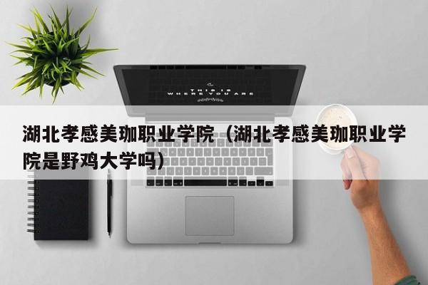 湖北孝感美珈職業學院（湖北孝感美珈職業學院是野雞大學嗎）